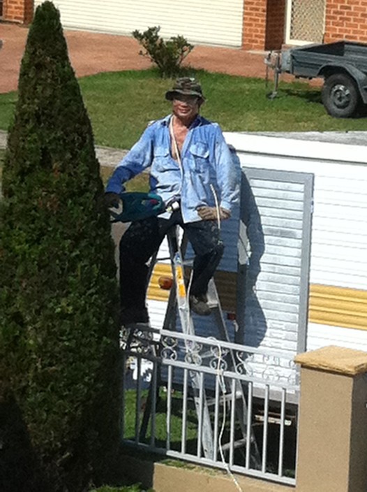 Will the Handyman Pic 2 - Will in action pruning the conifers