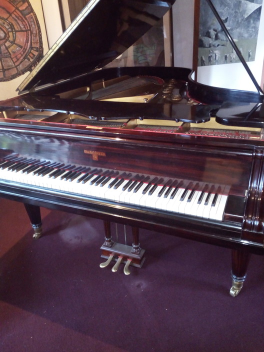 Stilo Pianos Pic 1