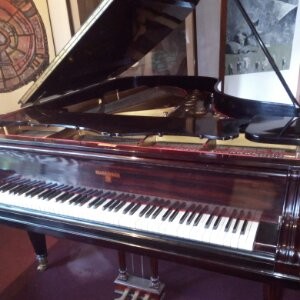 Stilo Pianos Pic 2