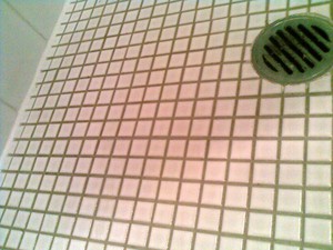 Sydney Wide Showers Pic 3 - sealed grouted cleaned 12 yr warranty