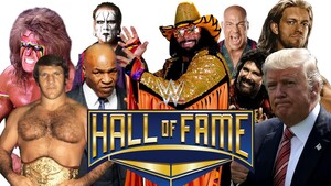 Tickets4wrestling Pic 2 - Cheap WWE Hall of Fame Tickets