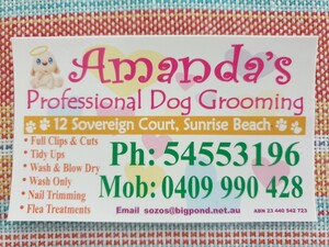 Amanda's Dog Grooming Pic 2