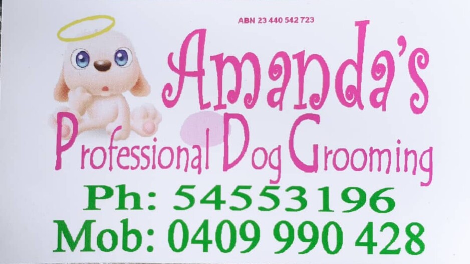 Amanda's Dog Grooming Pic 1