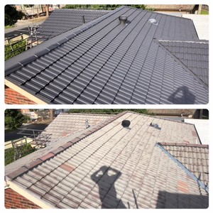 Top Glaze Roofing Systems Pic 2