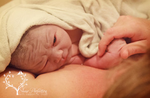 Shear Perfection Birth Support Services Pic 4 - Shear Perfection Birth Support Services Perths Birth photographer Perth Doula Birth Support