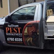 Sullivan Pest Management Pty Ltd Pic 3