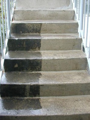 Fishbone Pressure Washing Pic 4 - steps cleaned and made safe