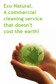 Eco Natural Cleaning Pic 2