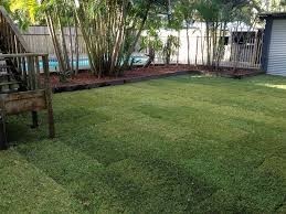 Nirto Lawn Property maintenance Pic 3