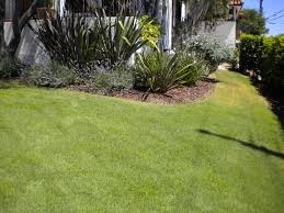 Nirto Lawn Property maintenance Pic 5