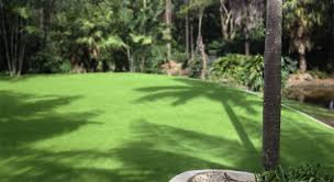 Nirto Lawn Property maintenance Pic 1