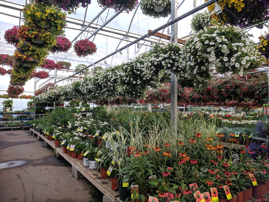 Brisbane Plant Nursery Pic 1