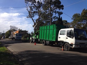 Four Seasons Tree Services Pic 3 - We own our own equipment which cuts costs for customers as we save on hiring equipment