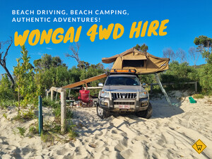 Wongai 4wd Hire Brisbane Pic 3