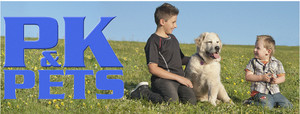 P & K Pets Pic 3