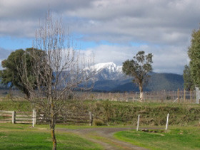 Buttercup Cottage Pic 1 - Buttercup Cottage view