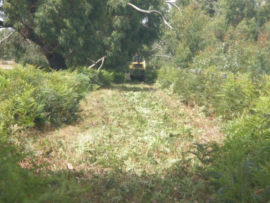 DL Earthworks Pic 1 - Fire Breaks Bracken mulching