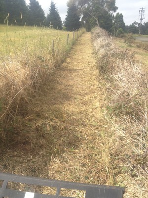 DL Earthworks Pic 2 - Fence line mulching