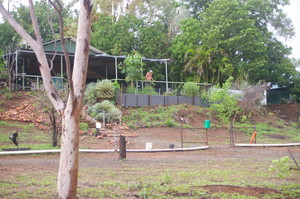 Ultimate Adventures Barramundi Fishing Pic 3 - Wet Season