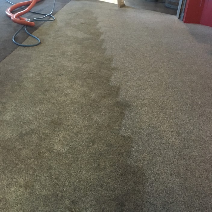 Shane's Cleaning Service Pic 1 - CARPET AT GLEN INNES RAILWAY TAVERN