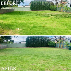 Arise Lawn & Garden Services Pic 4