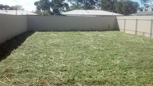 Procut Lawn Mowing Gawler Pic 2 - yard 1 after slashing