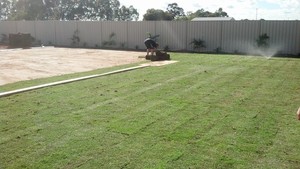 Procut Lawn Mowing Gawler Pic 4 - yard 2 after turf laying