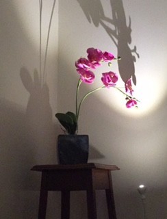 My Reiki Room Pic 1 - Come into My Reiki Room its a beautiful experience