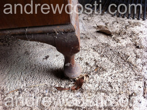 andrewcosti.com Pic 5