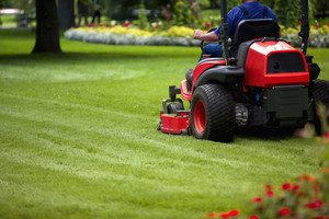 Mark's Mowing and Gardening Pic 2