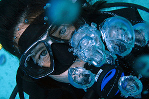 Dive Hervey Bay Pic 1 - Dive Courses Trips Hervey Bay