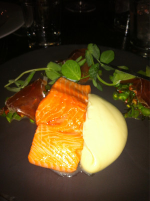 Concrete Blonde Pic 3 - The Salmon