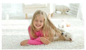 TJs Carpet & Upholstery Cleaning Pic 2 - Safe For Family and Pets