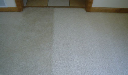 TJs Carpet & Upholstery Cleaning Pic 1