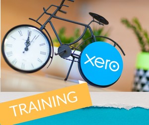 Booksmart Accounting Solutions Pic 5 - Specialise in Xero Training