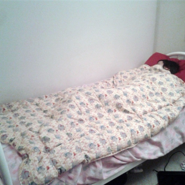 LaughLand Pic 1 - adult weighted blanket