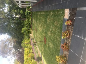 Green Finger Lawns Pic 2