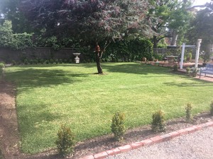 Green Finger Lawns Pic 3