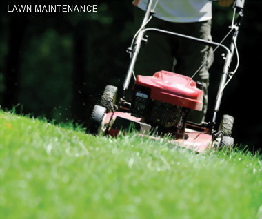 Marks Mowing and Garden Maintenace Pic 1