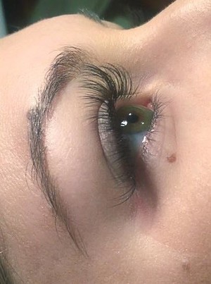 Le Chic Lashes Pic 3