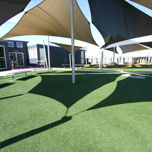 Synturf Pic 4