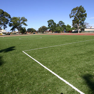 Synturf Pic 5