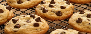 Bush Cookies Pic 2 - Choc Chip