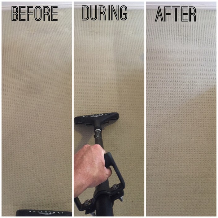 All Corners Carpet Cleaning And Pest Control Pic 1 - before during and after a carpet clean