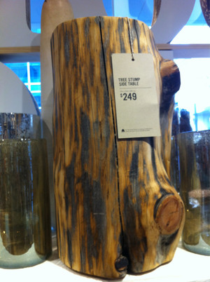 West Elm Pic 3