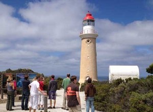 Kangaroo Island Adventure Tours Pic 4 - On Tour