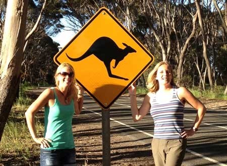 Kangaroo Island Adventure Tours Pic 1 - Wildlife spotting on Kangaroo Island