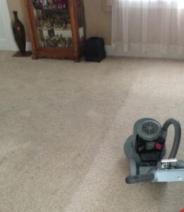 Carpet Cleaning Mooloolaba Pic 2