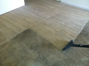 Carpet Cleaning Mooloolaba Pic 3