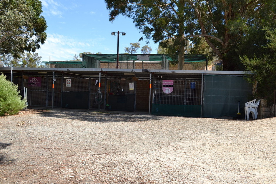 Paws Away Boarding Kennels Pic 1